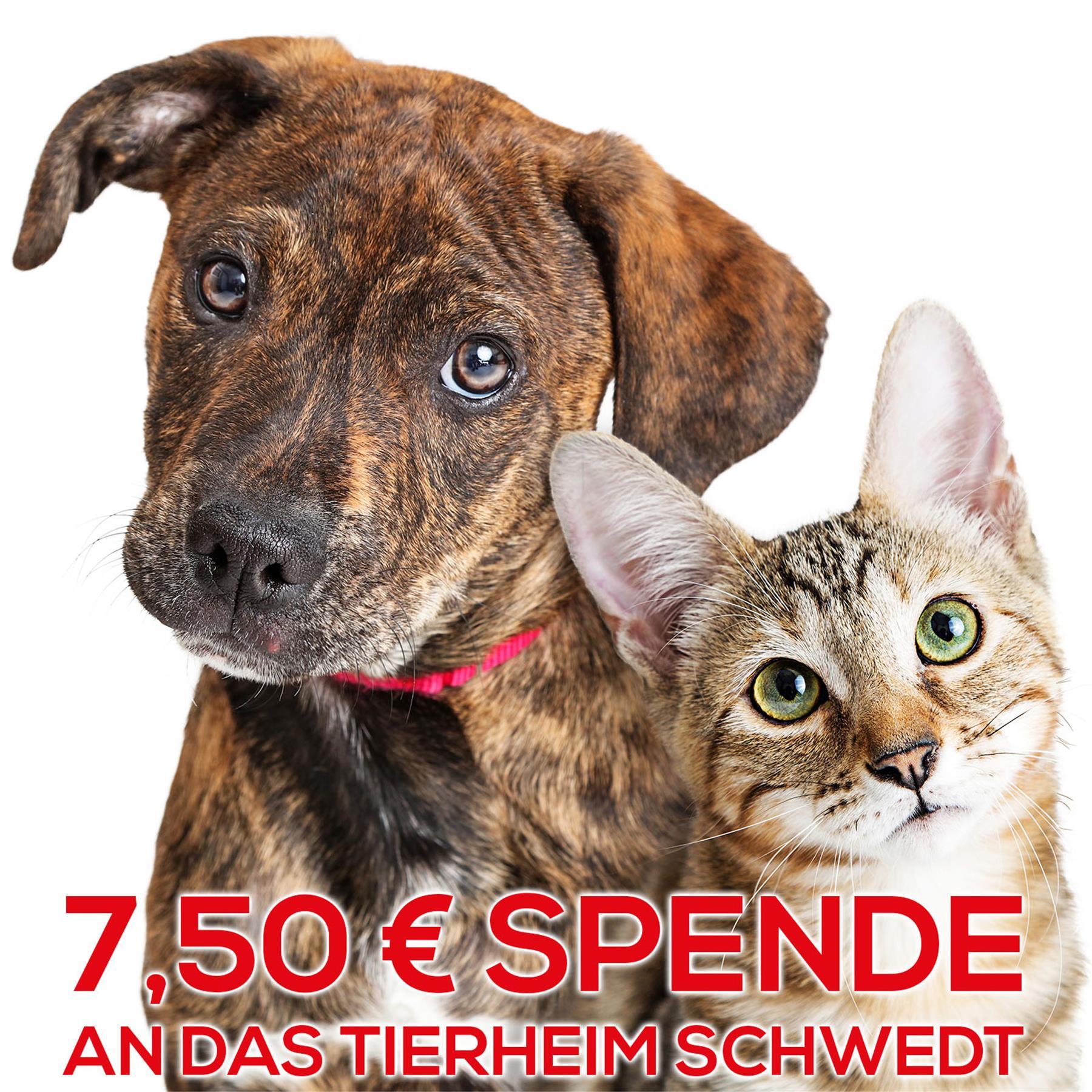 Wir unterstützen für Sie das Tierheim Schwedt/Oder mit 7,50€ - Vielen lieben DANK!, Hund, Säugetier, Haustier, Katze