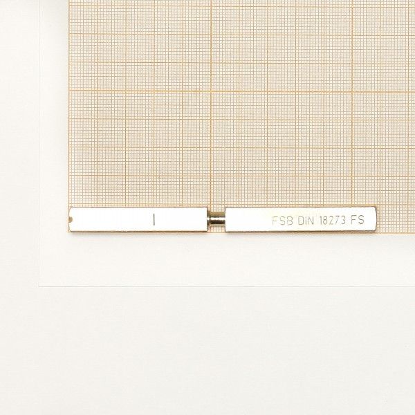 FSB Spezialstift Panik Stift Stahl verzinkt für geteilte Nuß, Seite, Text