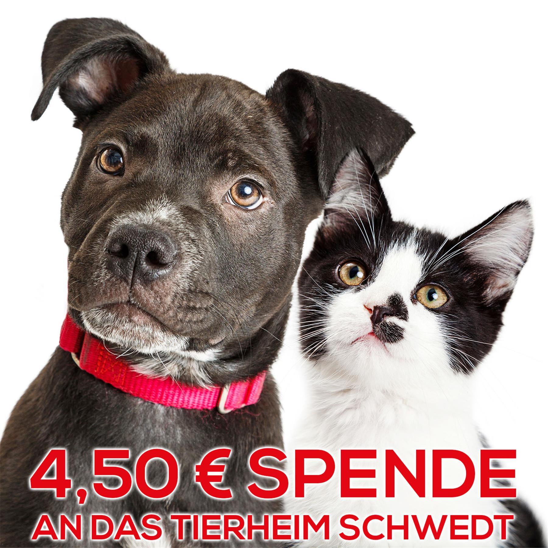 Wir unterstützen für Sie das Tierheim Schwedt/Oder mit 4,50€ - Vielen lieben DANK!, Hund, Säugetier, Haustier, Katze, Werbung