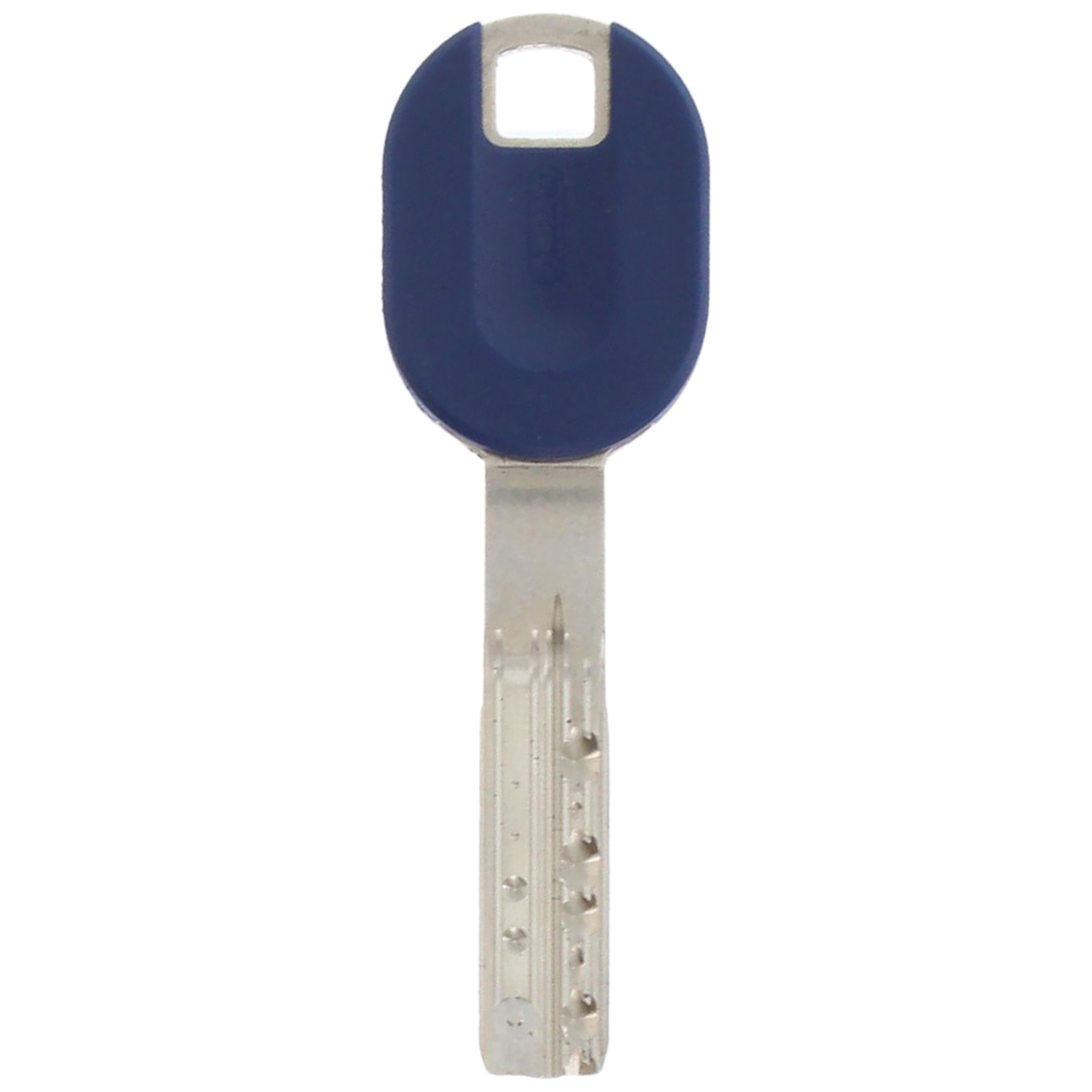 ABUS Bravus 2500 3500 Magnet Nachschlüssel für Einzelschließungen Eigenprofil mit Pro Cap saphirblau, Schlüssel, Schlüssel, Schlüssel, Schlüssel