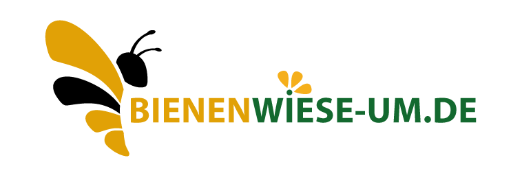 Tier, Biene, Insekt, Wirbellose, Wespe